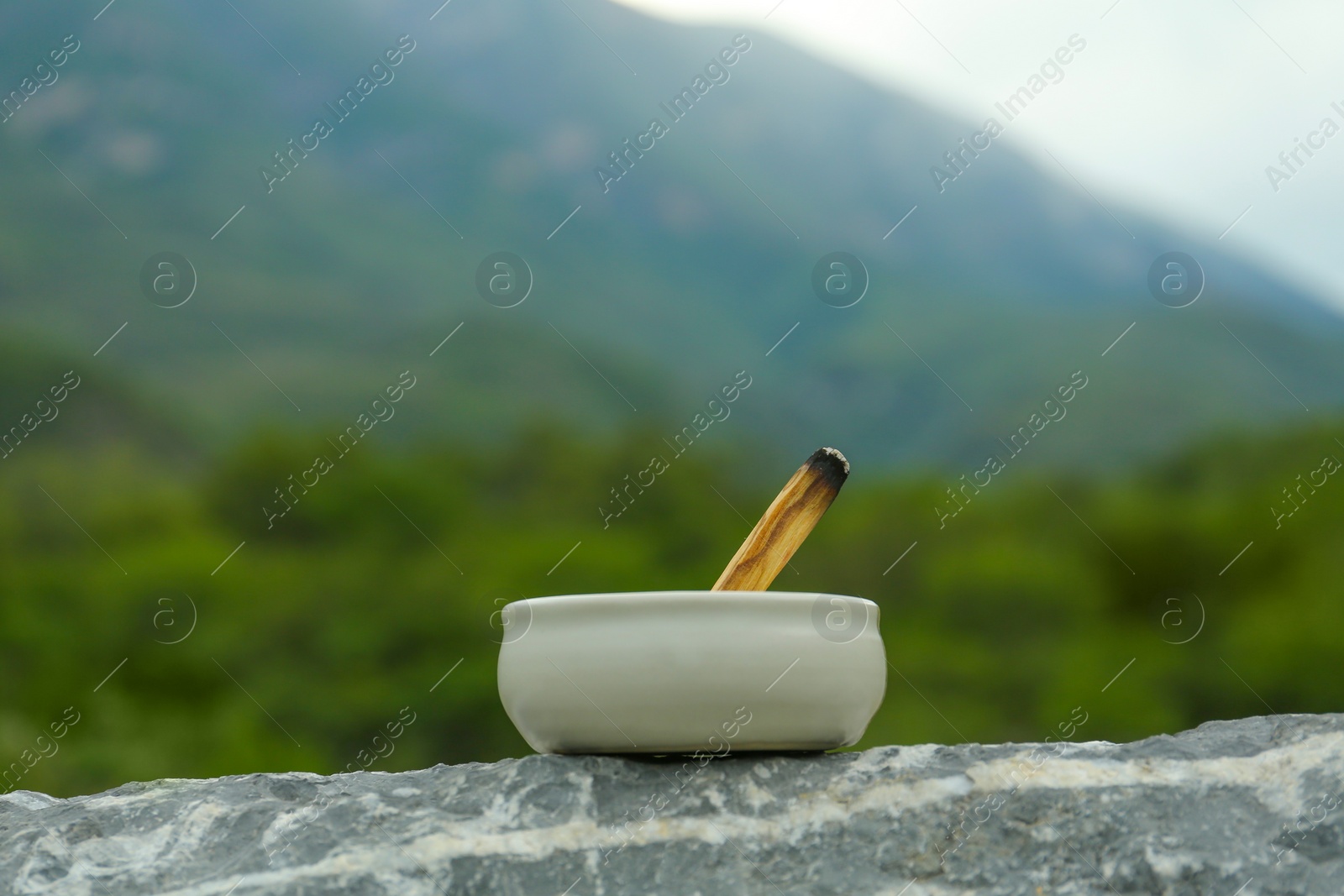 Photo of Burnt palo santo stick on stone surface in high mountains