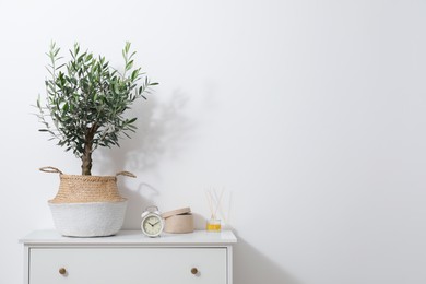 Photo of Olive tree in pot and alarm clock on white cabinet in room, space for text. Interior element