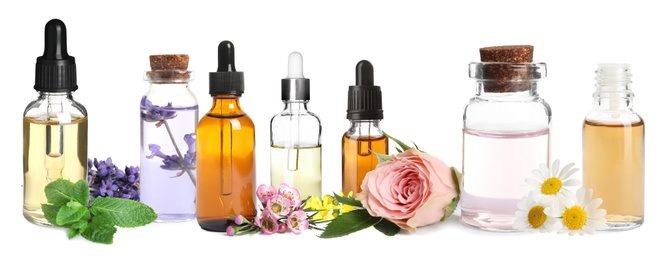 Image of Set of different essential oils used in aromatherapy on white background, banner design