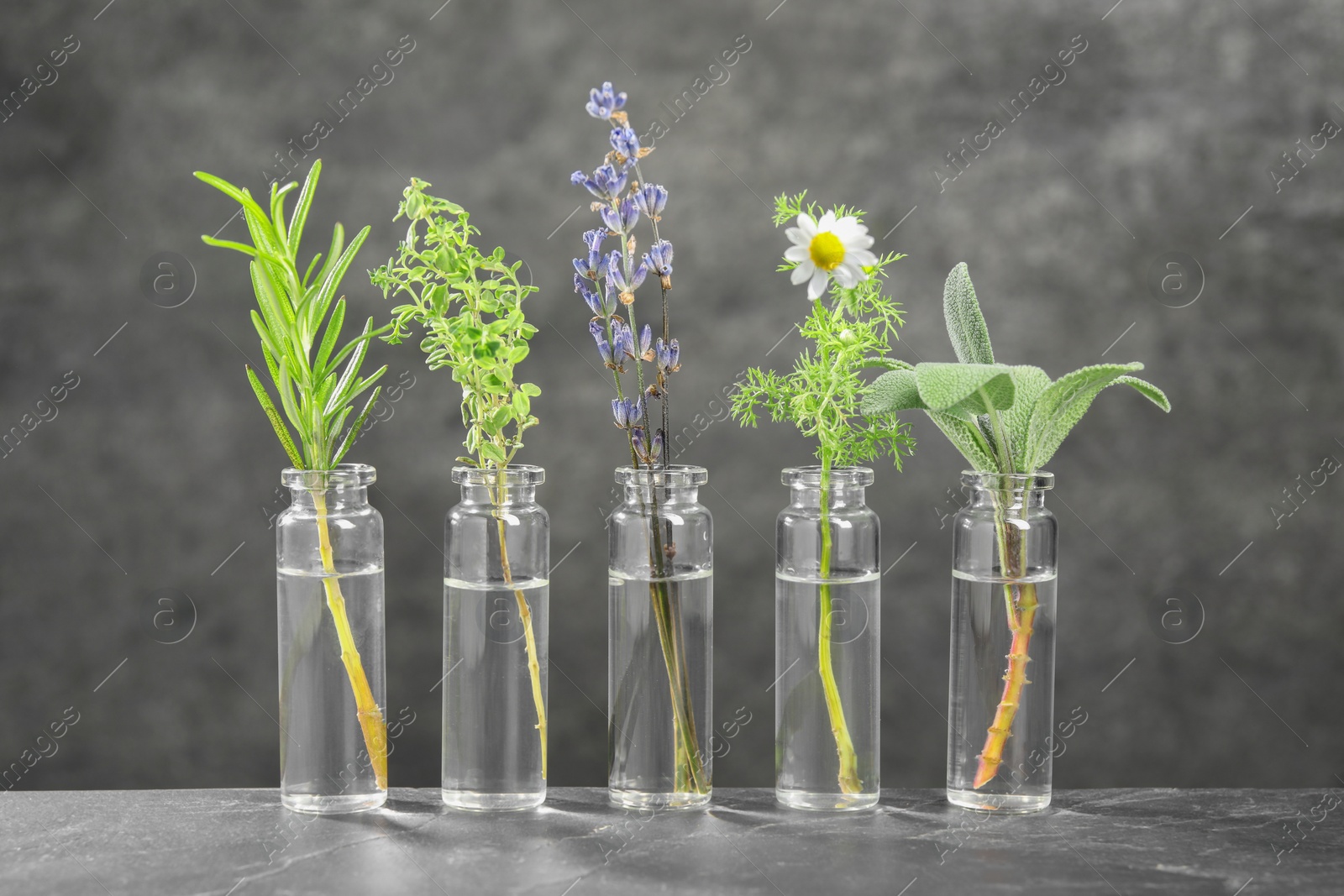 Photo of Bottles with essential oils and plants on grey textured table