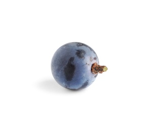 Delicious ripe dark blue grape isolated on white