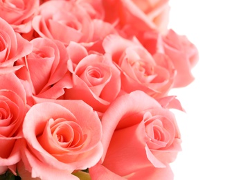 Photo of Bouquet of beautiful roses on white background