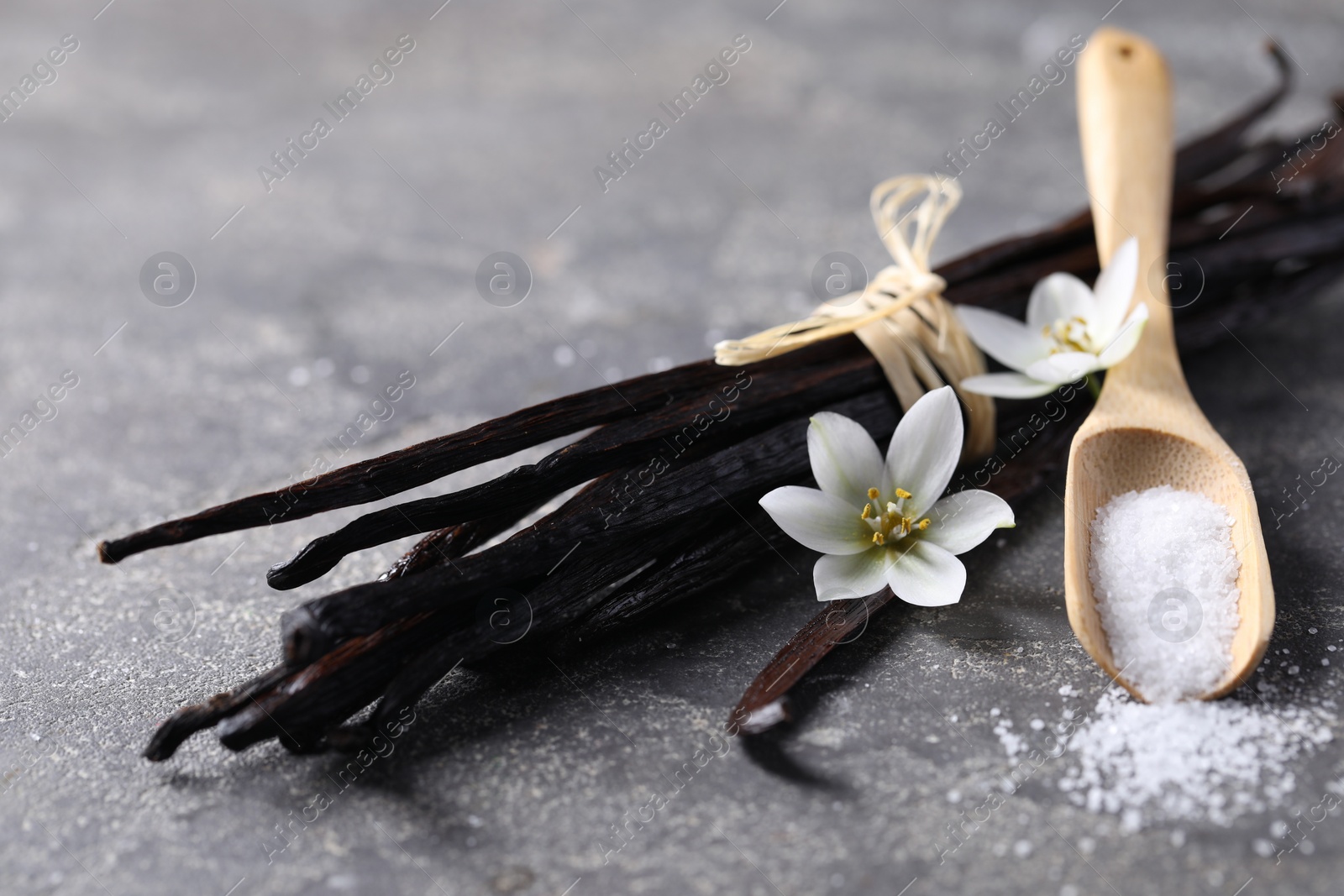 Photo of Spoon with sugar, flowers and vanilla pods on grey textured table, closeup