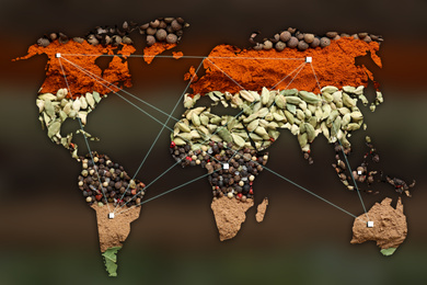 Image of Double exposure of world map and different spices on blurred background. Logistic and wholesale concept
