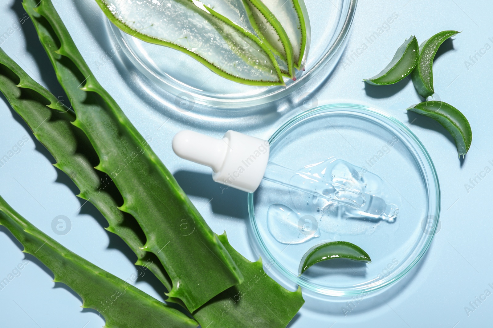 Photo of Flat lay composition with cosmetic gel and cut aloe vera on light blue background