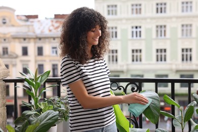 Photo of Happy young woman wiping beautiful houseplant leaf on balcony