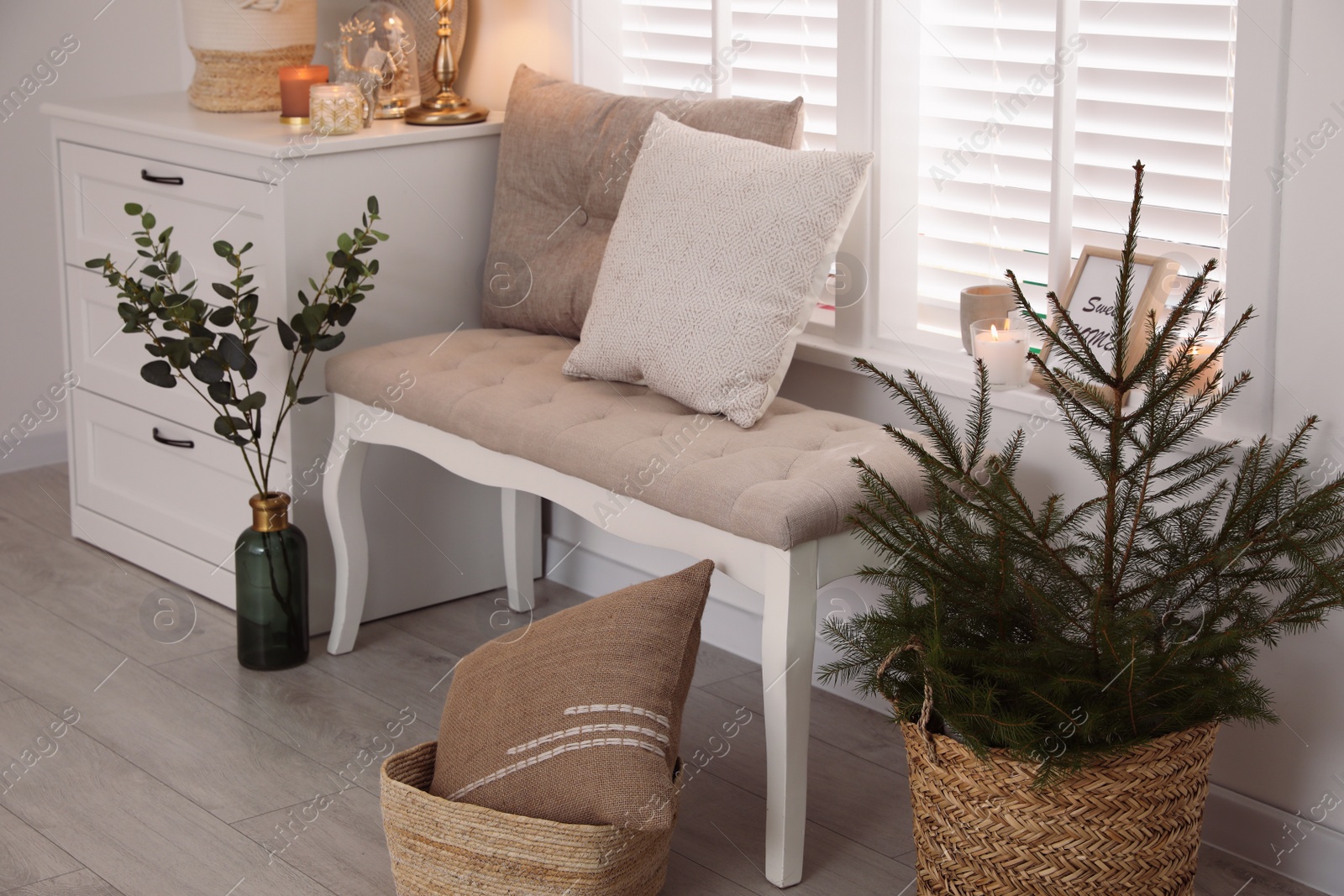 Photo of Beautiful room interior decorated for Christmas with potted fir