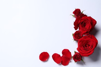 Photo of Beautiful red roses and petals on white background, flat lay. Space for text