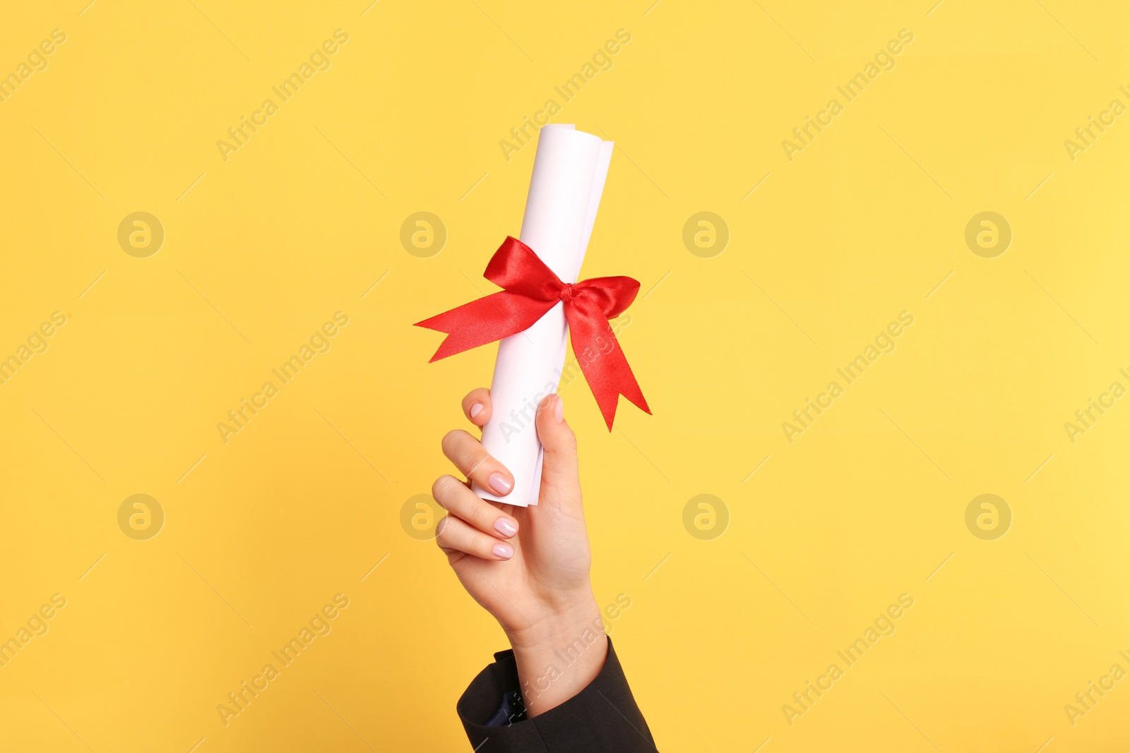 Photo of Student holding rolled diploma with red ribbon on yellow background, closeup