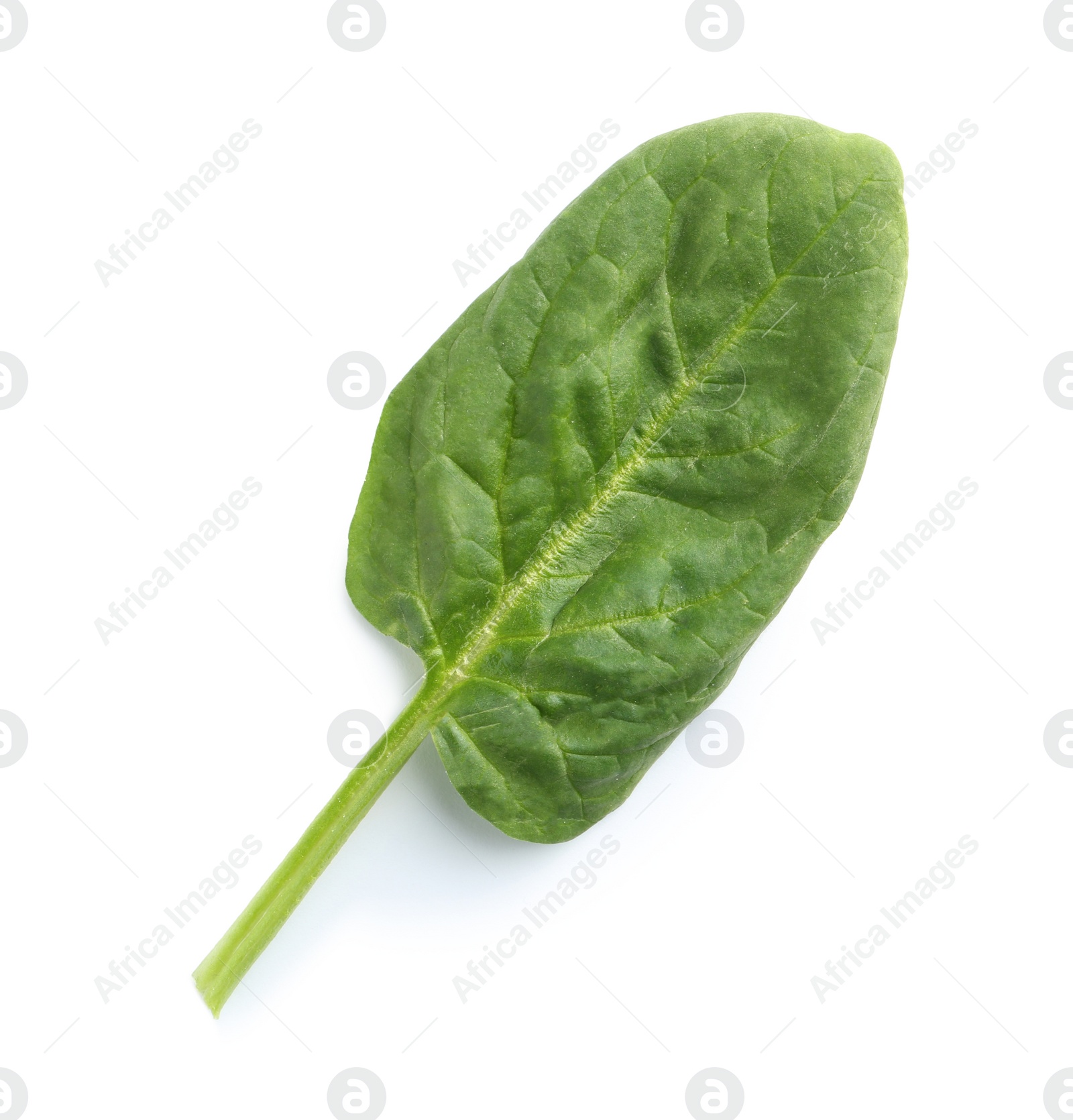 Photo of Fresh leaf of spinach isolated on white, top view