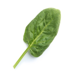 Photo of Fresh leaf of spinach isolated on white, top view