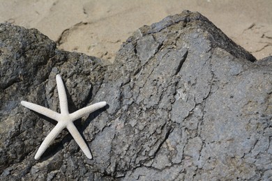 Photo of Black stone with beautiful starfish on sandy beach, space for text