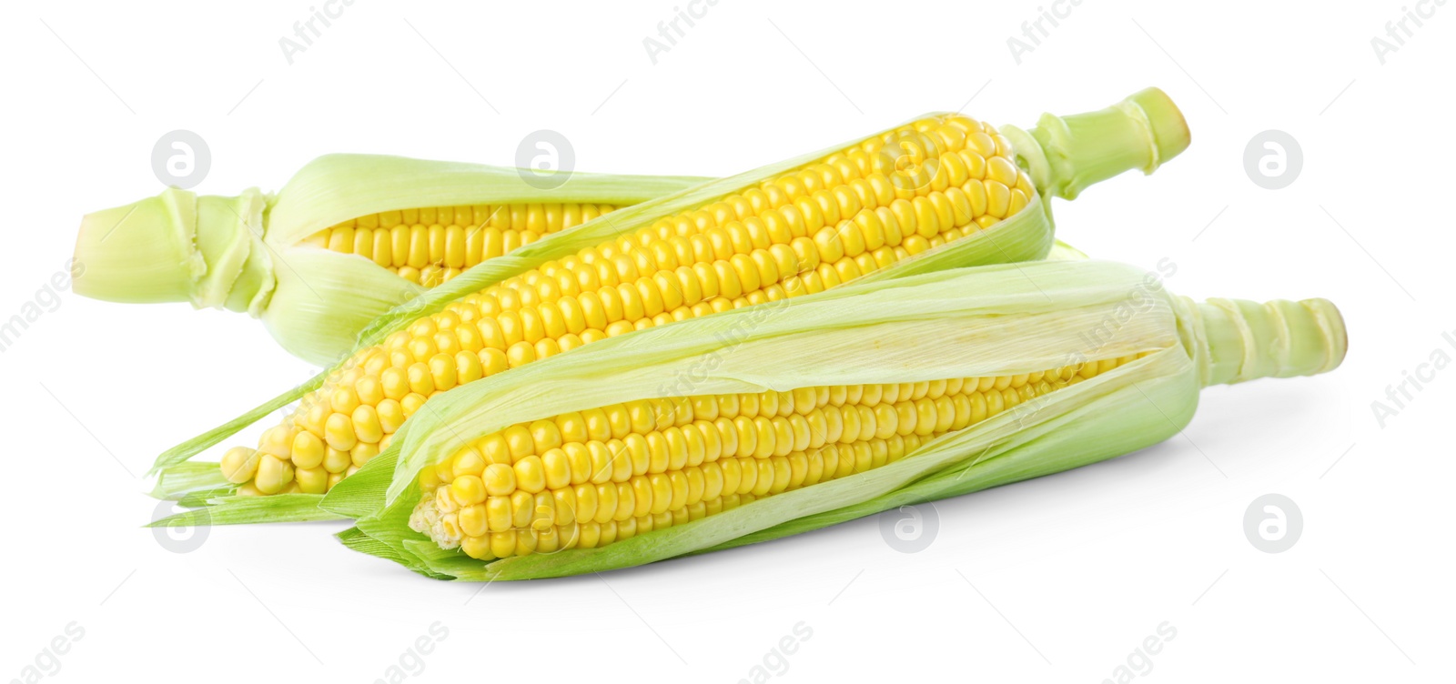 Photo of Tasty fresh corn cobs isolated on white