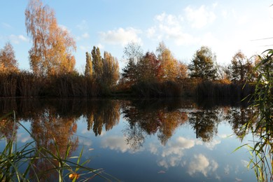 Picturesque view of lake and trees on autumn day
