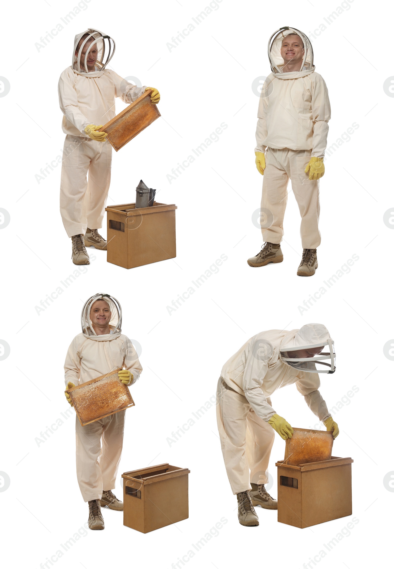 Image of Collage with photos of in uniform holding frames with honeycombs on white background