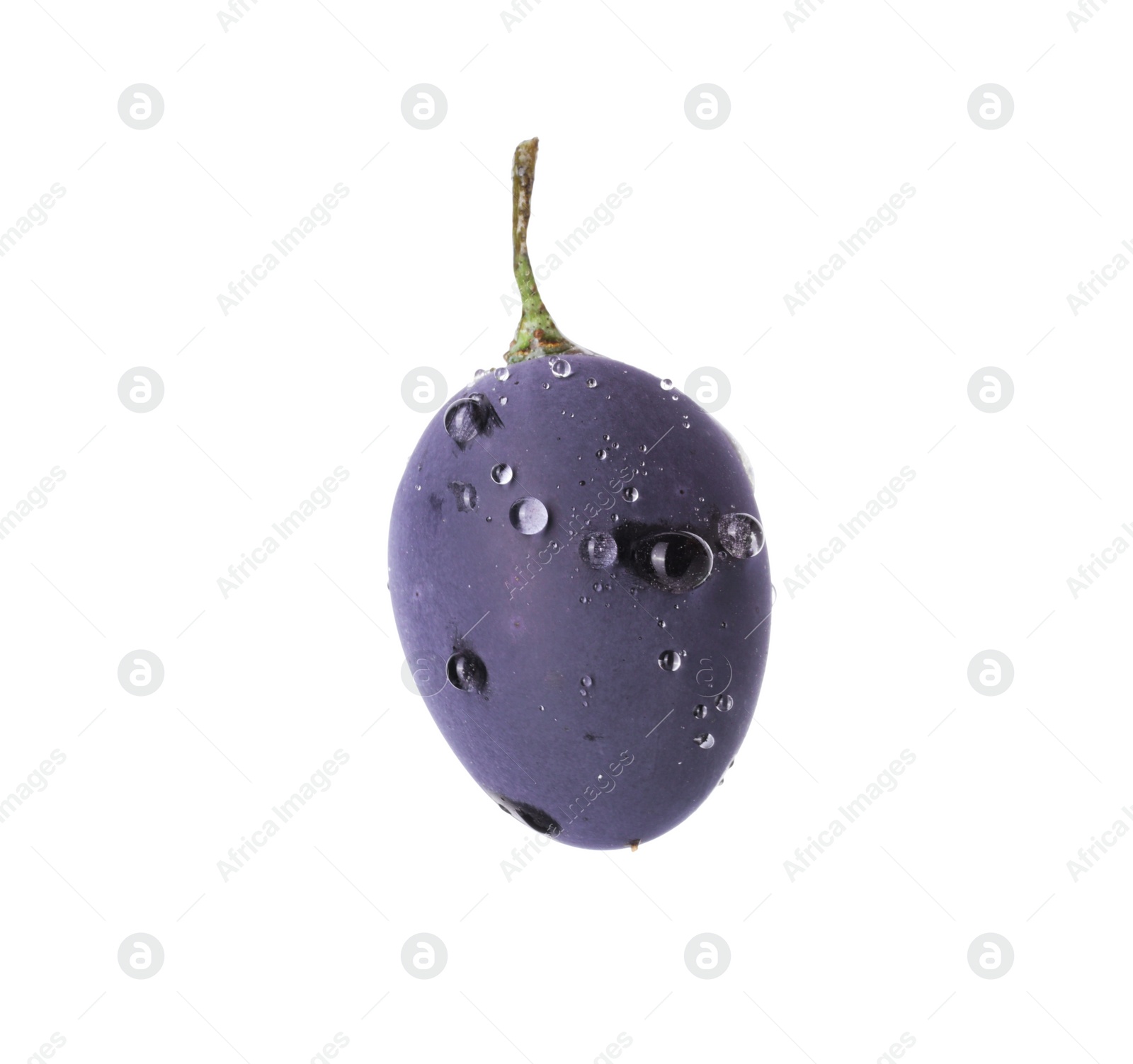 Photo of One ripe dark blue grape with water drops isolated on white
