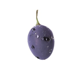 One ripe dark blue grape with water drops isolated on white