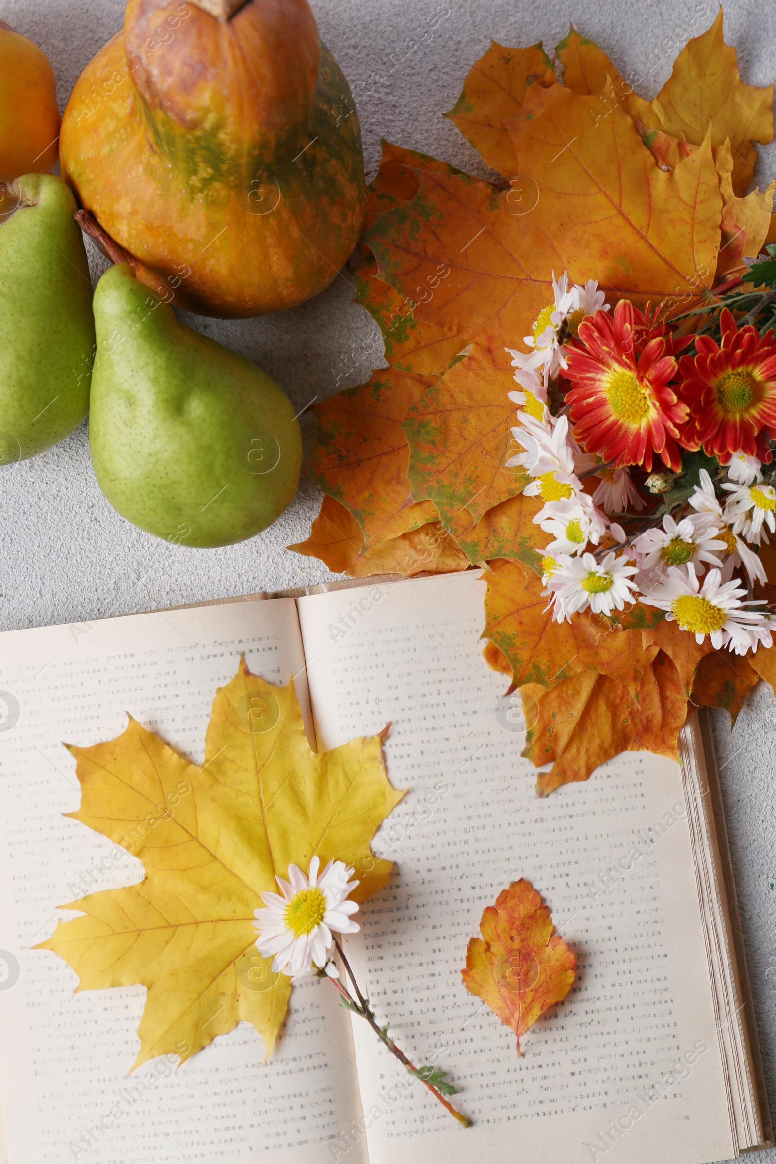 Photo of Book with autumn leaves and beautiful flowers as bookmark on light gray table, flat lay