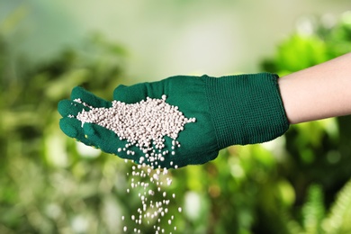 Woman in glove pouring fertilizer on blurred background, closeup. Gardening time