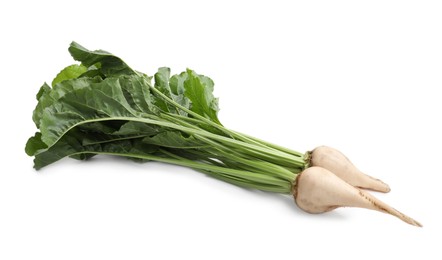 Sugar beets with leaves on white background