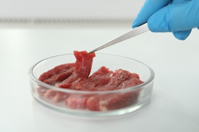 Photo of Scientist taking raw cultured meat out of Petri dish with tweezers at white table, closeup