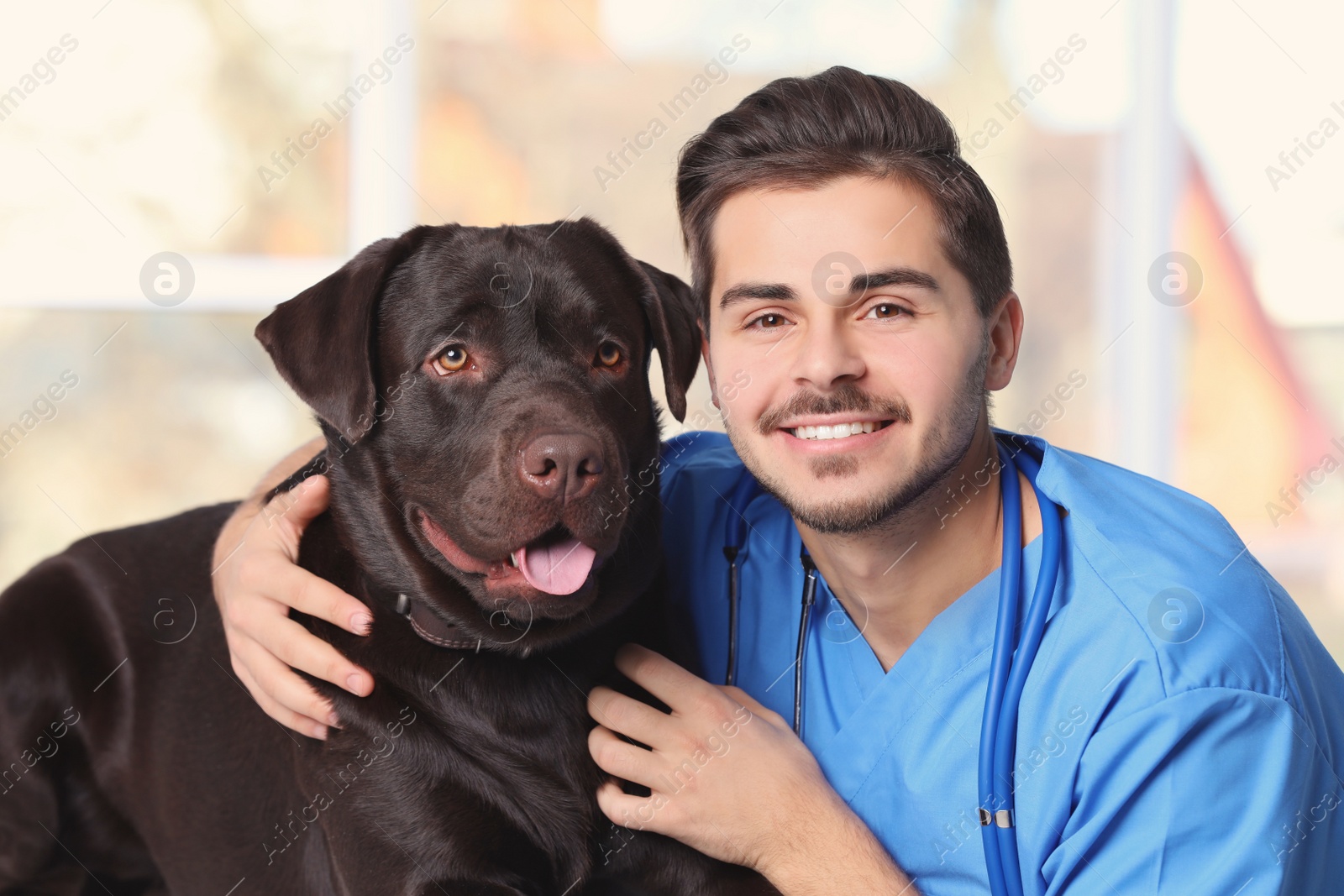 Photo of Veterinarian doc with dog in animal clinic