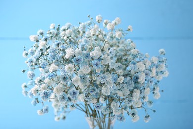Photo of Beautiful dyed gypsophila flowers on light blue background