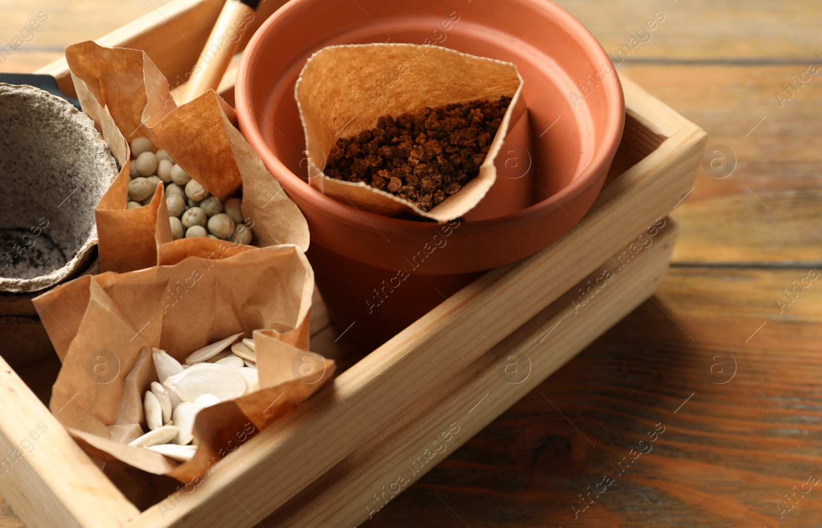 Photo of Wooden crate with different vegetable seeds on table, closeup