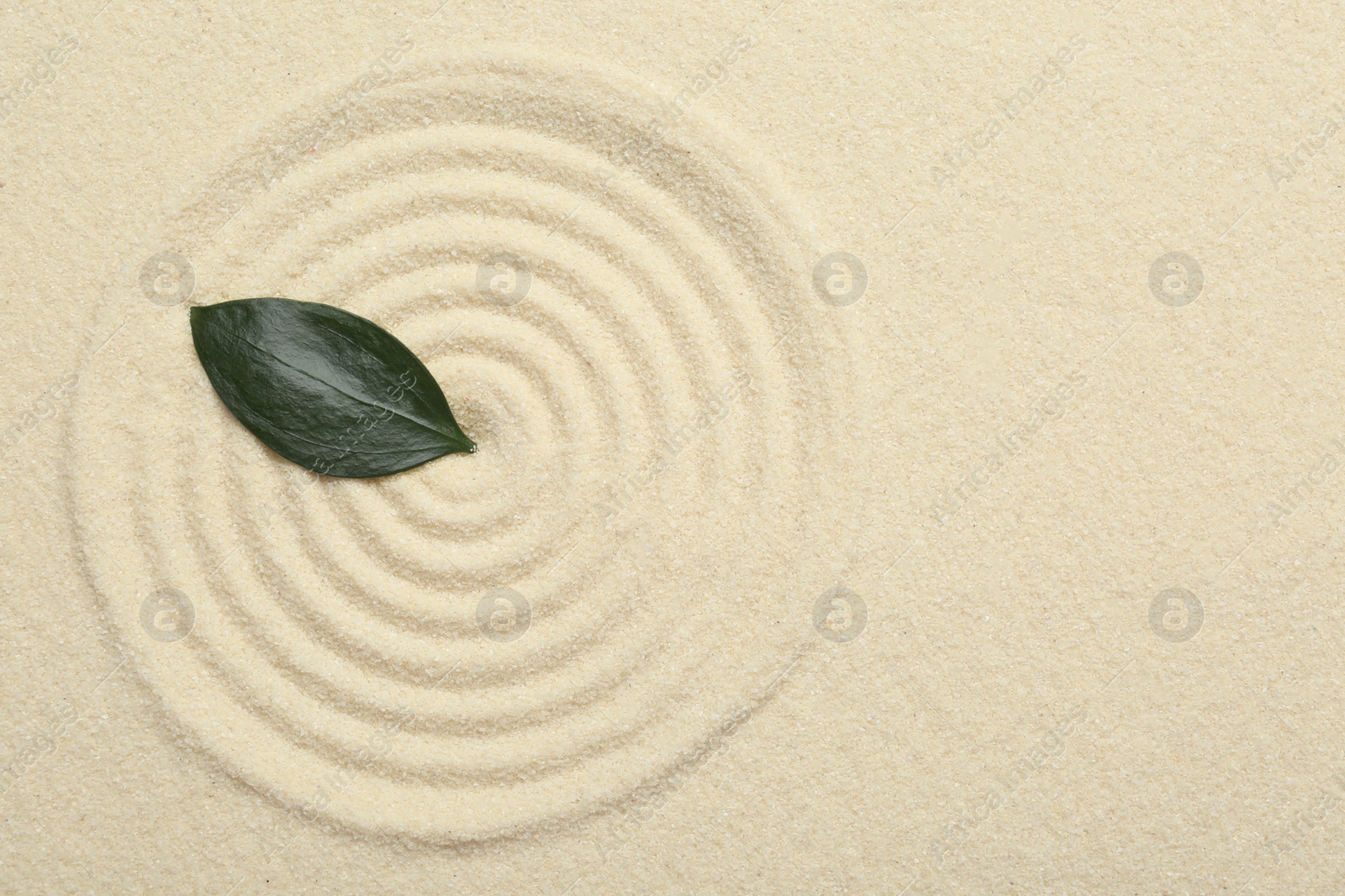 Photo of Zen rock garden. Circle pattern and green leaf on beige sand, top view