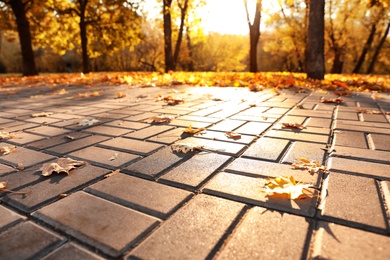 Photo of Pavement with beautiful bright leaves in park. Autumn season