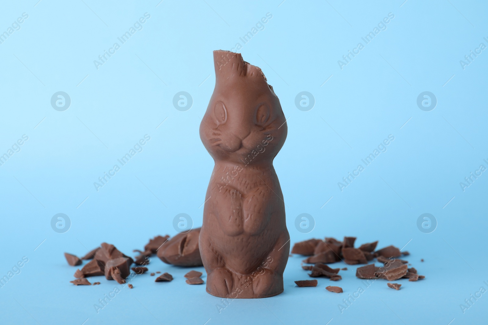 Photo of Broken chocolate Easter bunny on light blue background