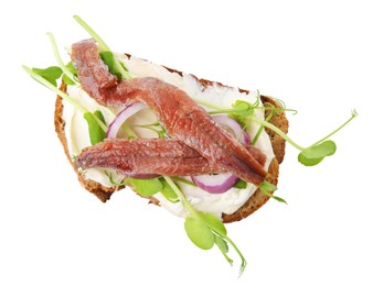 Delicious bruschetta with anchovies, cream cheese, red onion and greens isolated on white, top view