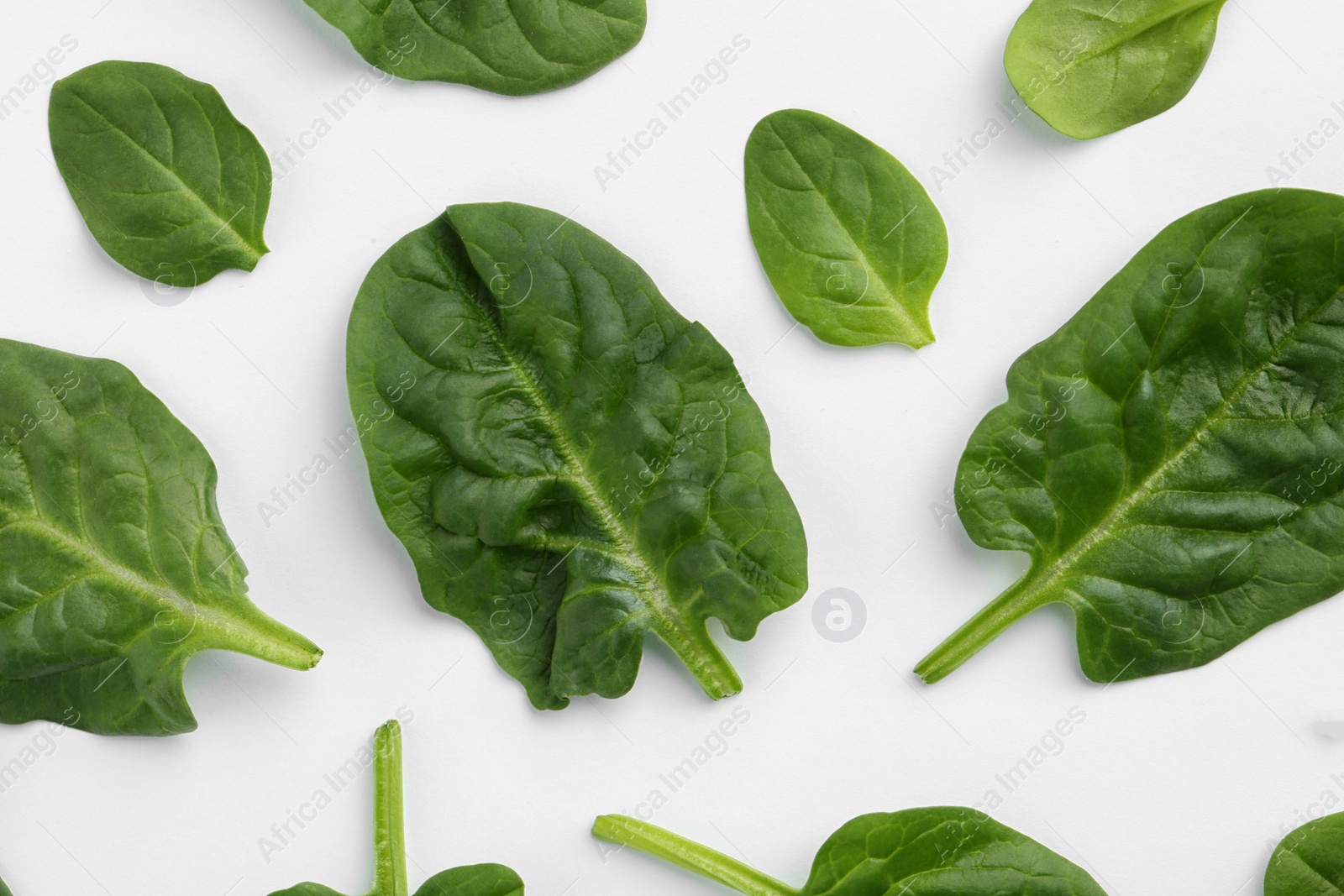 Photo of Fresh leaves of spinach isolated on white, top view