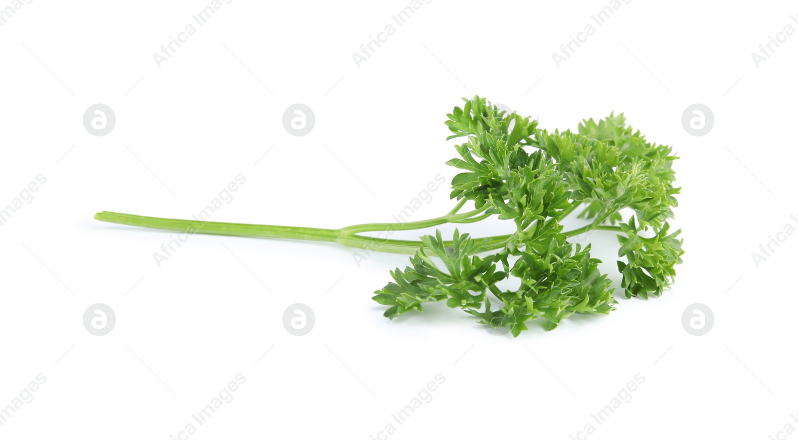 Photo of Fresh green organic parsley on white background