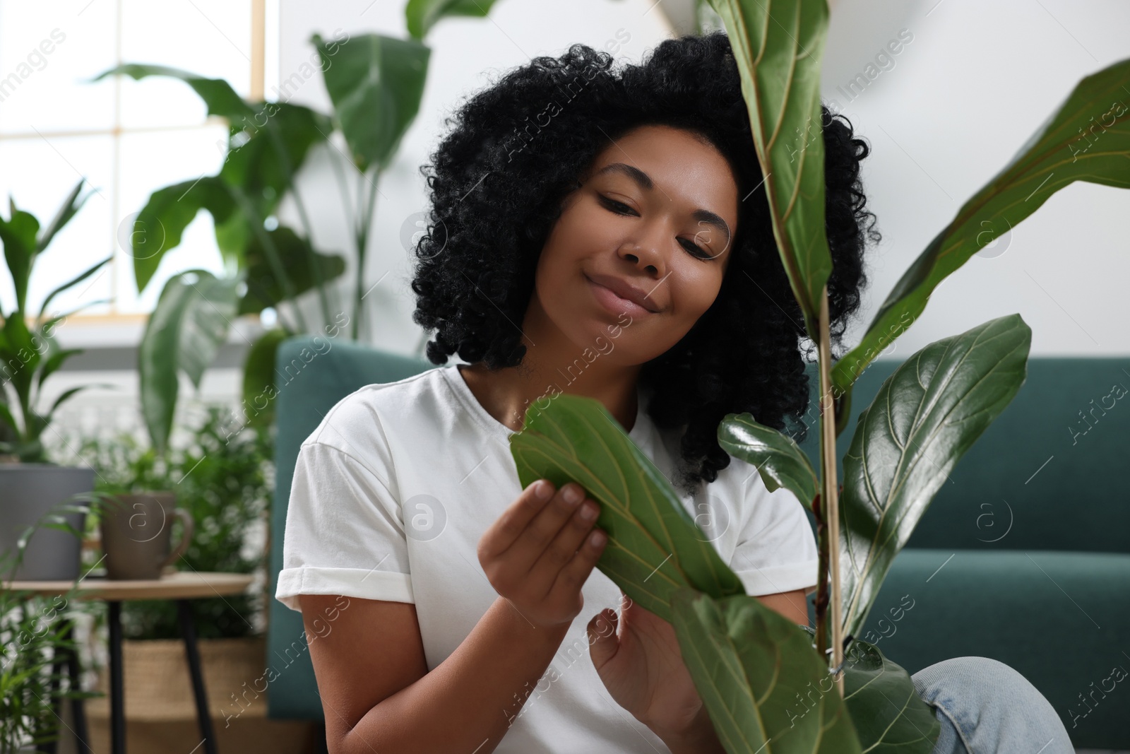 Photo of Relaxing atmosphere. Woman with ficus near potted houseplants in room