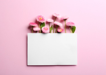 Flat lay composition with spring daisy flowers and card on color background. Space for text