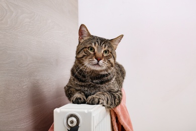 Photo of Cute tabby cat on heating radiator with plaid indoors