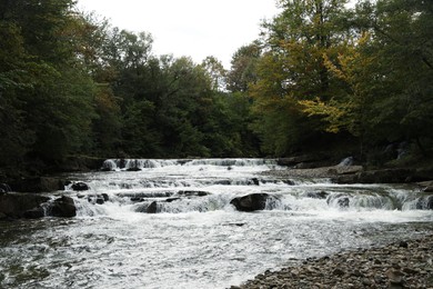 Photo of Picturesque view of beautiful river flowing near forest
