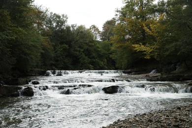 Picturesque view of beautiful river flowing near forest