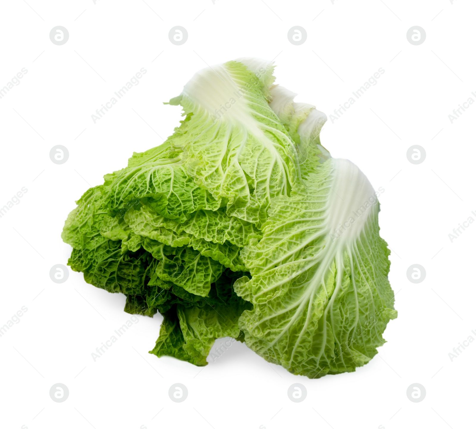 Photo of Leaves of Chinese cabbage on white background