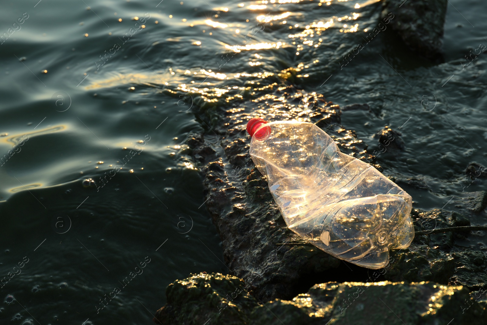 Photo of Used plastic bottle near water at beach, space for text. Environment pollution