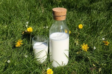Photo of Glass and bottle of fresh milk on green grass outdoors