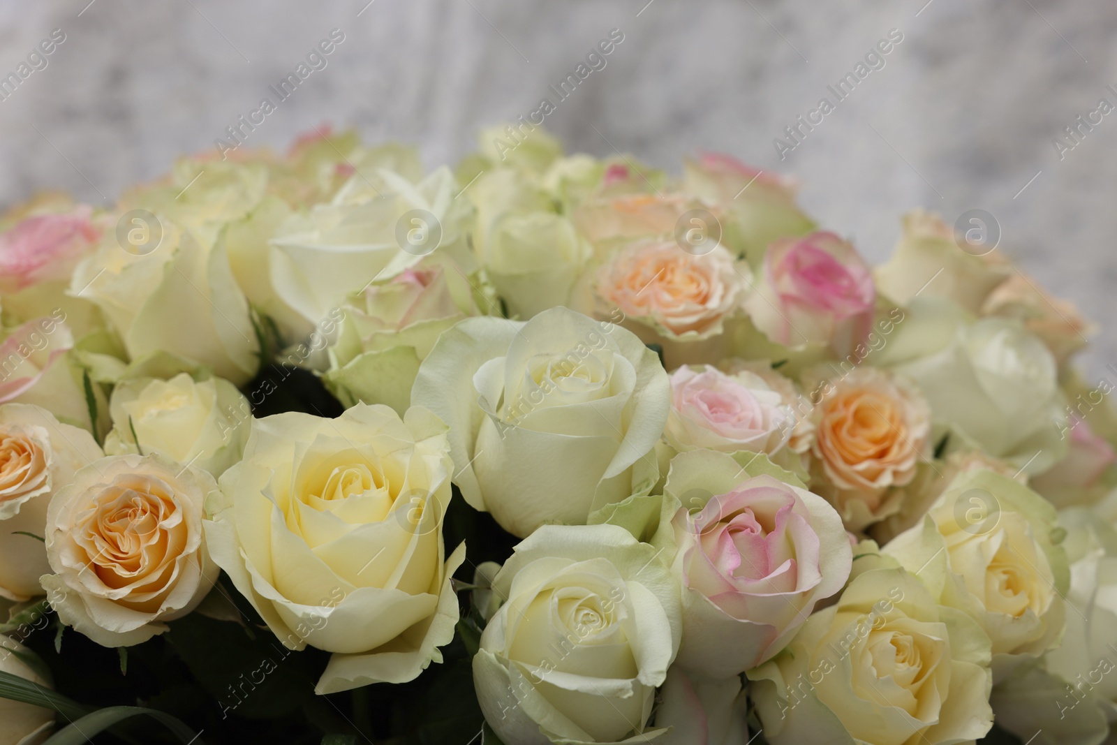 Photo of Bouquet of different beautiful roses, closeup view