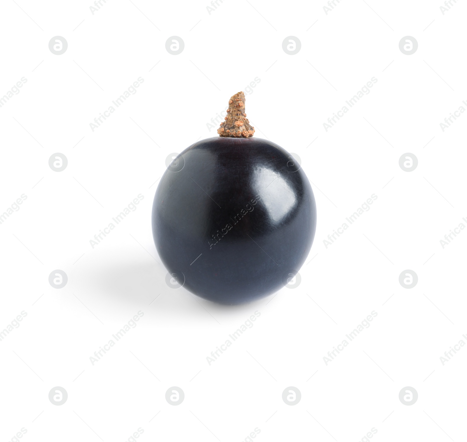 Photo of Delicious ripe dark blue grape isolated on white