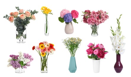 Collage with many beautiful flowers in different vases on white background