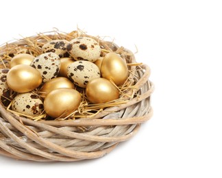 Nest with golden and ordinary quail eggs on white background