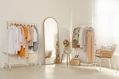 Modern dressing room interior with stylish clothes, shoes and beautiful dry flowers