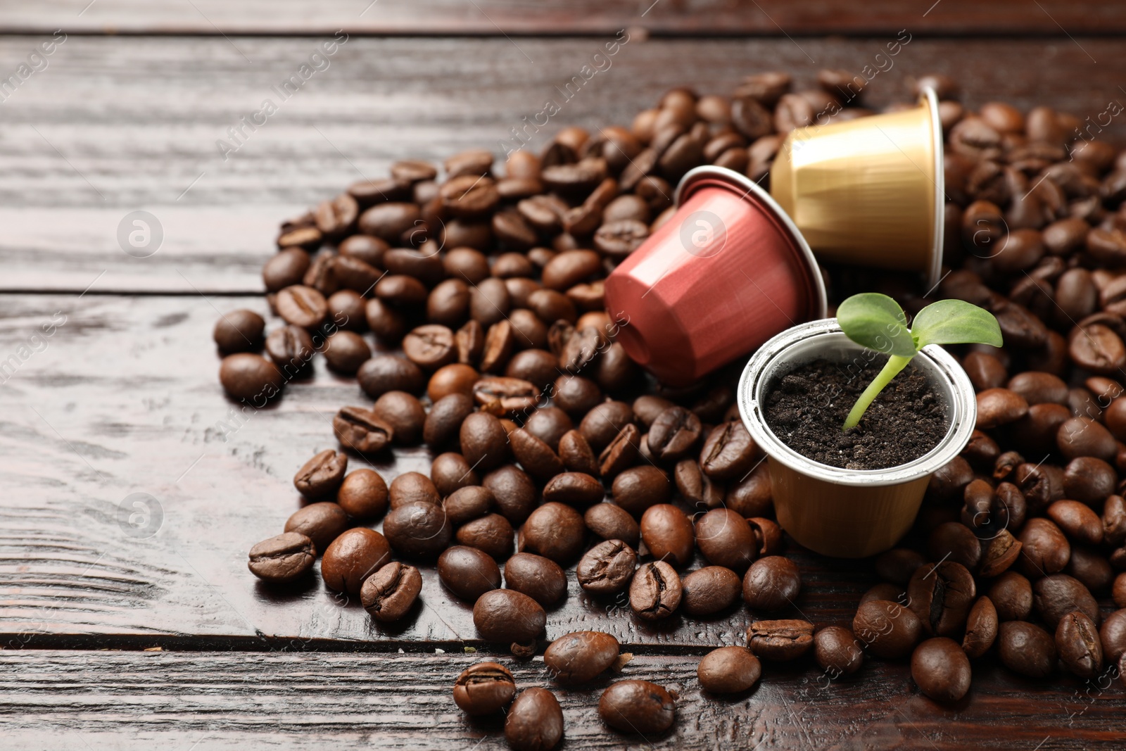 Photo of Coffee capsules, seedling and beans on wooden table, space for text