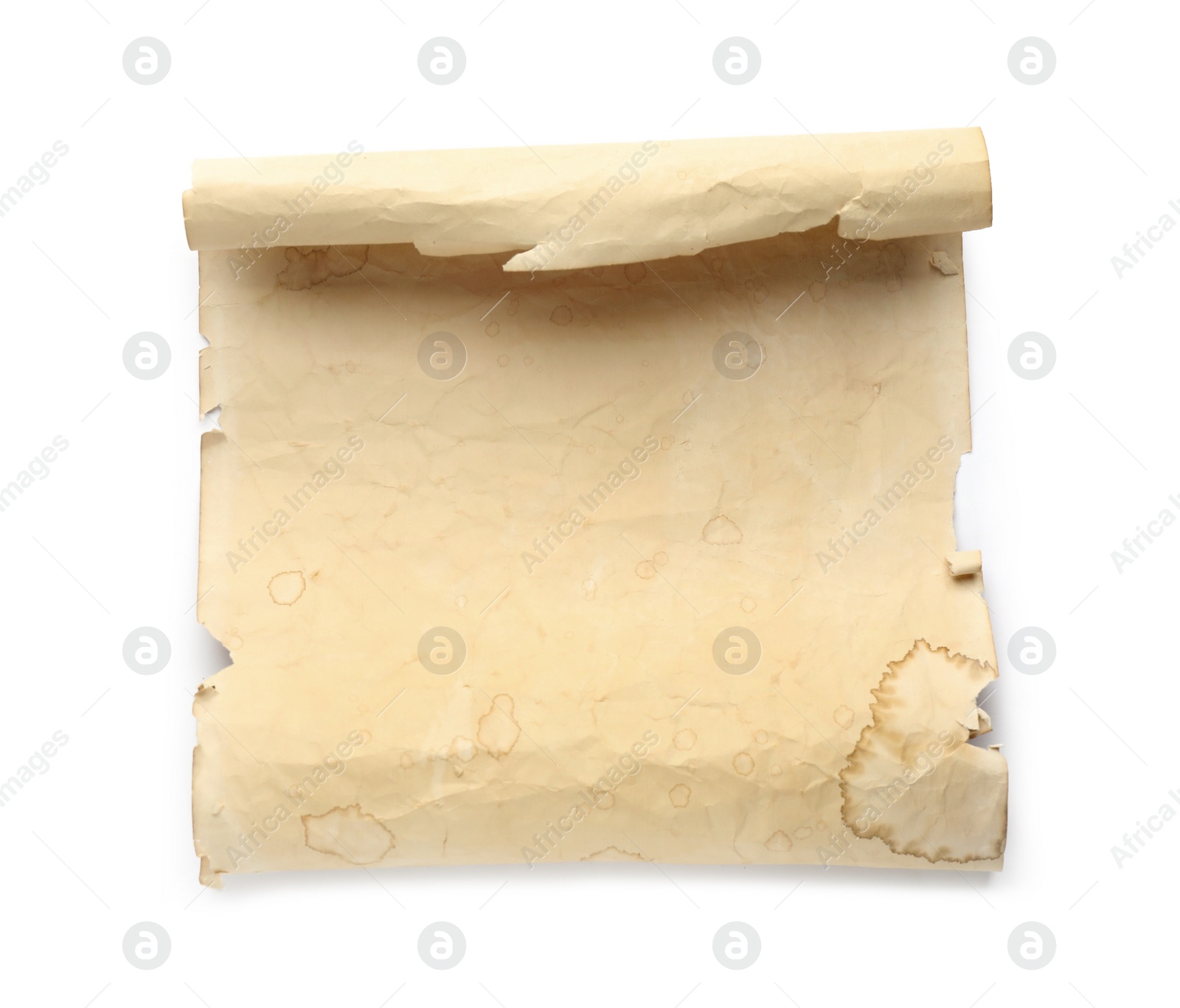 Photo of Sheet of old parchment paper isolated on white, top view. Space for design