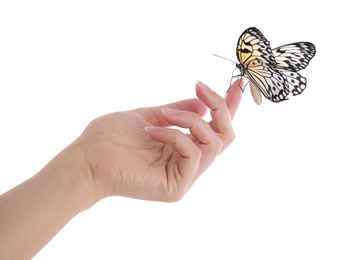 Woman holding beautiful rice paper butterfly on white background, closeup